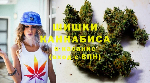 мдпв Вяземский