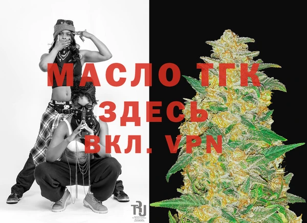 мдпв Вяземский