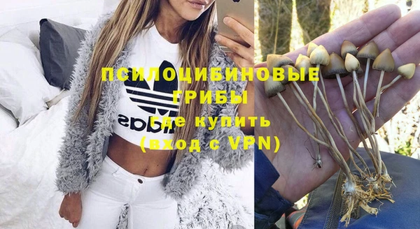spice Вязники
