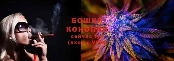 хмурый Горняк