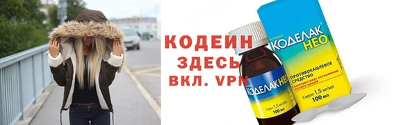 мдпв Вяземский