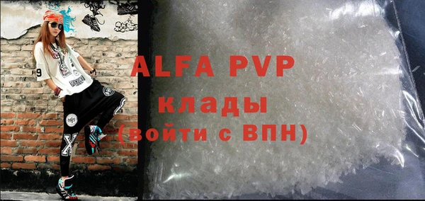 сатива Новодвинск