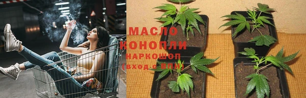 мдпв Вяземский