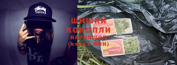 мдпв Вяземский