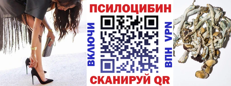 Галлюциногенные грибы MAGIC MUSHROOMS Дудинка